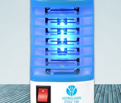 2 in 1 Bug Zapper/Night Light for only $2.75 with Free Shipping and No Tax