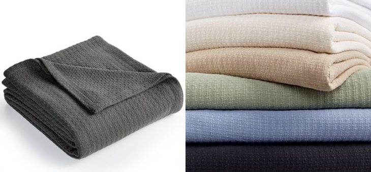 Ralph Lauren Blankets for $18 (Retail is $90)