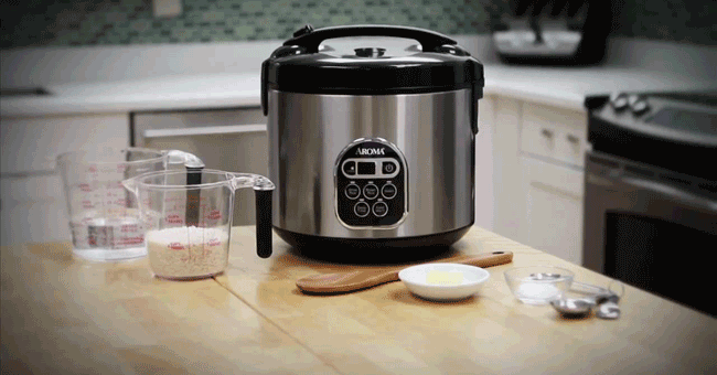 Rice Cooker – Steamer – Slow Cooker CRAZY CHEAP